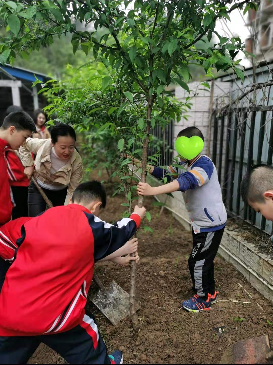 倡导'植树'保护生态环境